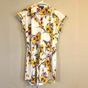 Express ladies button down dress